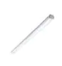 Philips Pantalla LED Estanca WT060C 20W 2500lm - 840 Blanco Frio | 120cm