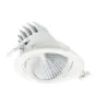 Philips Foco LED LuxSpace Accent Performance RS781B 31.5W 2700lm 36D - 930 Luz Cálida | 170mm - Mejor Reproducción De Color