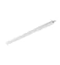 Philips Pantalla LED Estanca CoreLine Tubular WT210C 54W 7000lm - 840 Blanco Frio | 150cm